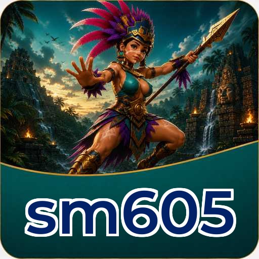 sm605 Components